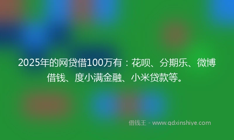 2025年的网贷借100万有：花呗、分期乐、微博借钱、度小满金融、小米贷款等。