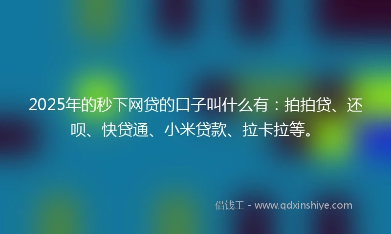 2025年的秒下网贷的口子叫什么有：拍拍贷、还呗、快贷通、小米贷款、拉卡拉等。