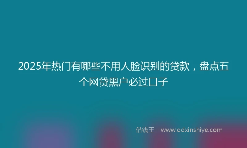 2025年热门有哪些不用人脸识别的贷款，盘点五个网贷黑户必过口子