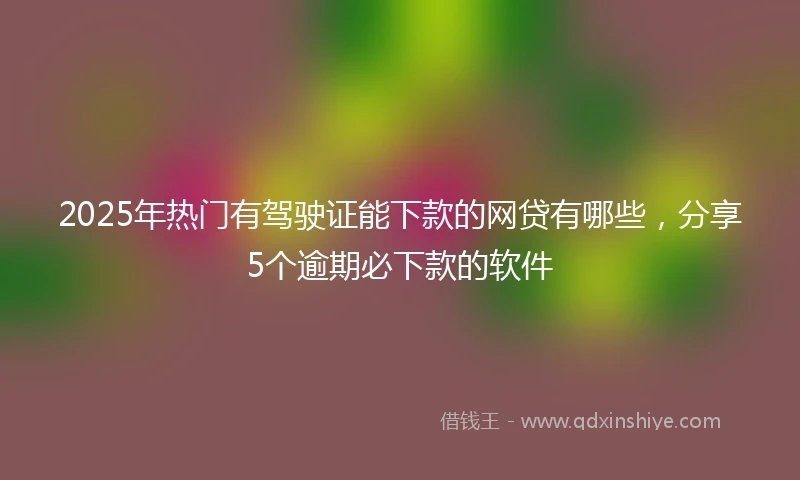 2025年热门有驾驶证能下款的网贷有哪些，分享5个逾期必下款的软件
