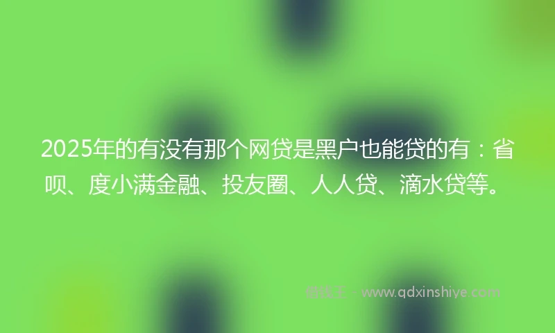 2025年的有没有那个网贷是黑户也能贷的有：省呗、度小满金融、投友圈、人人贷、滴水贷等。