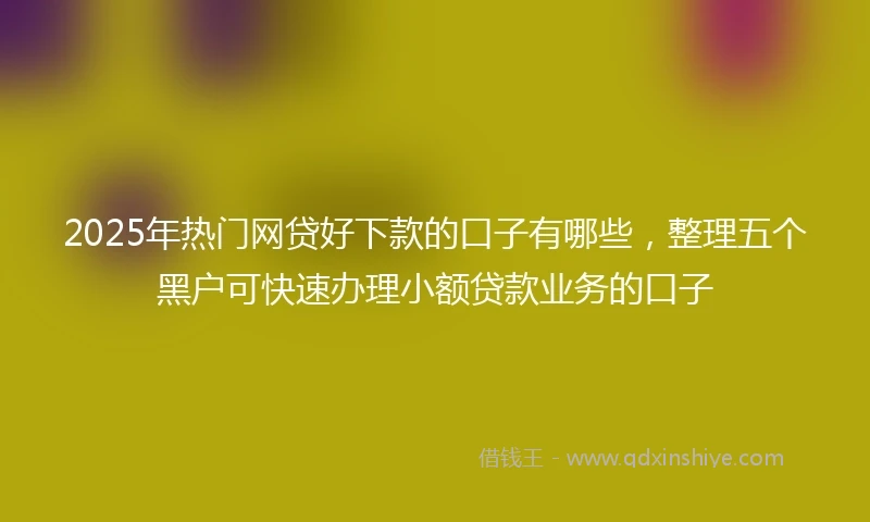 2025年热门网贷好下款的口子有哪些，整理五个黑户可快速办理小额贷款业务的口子