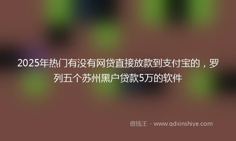 2025年热门有没有网贷直接放款到支付宝的，罗列五个苏州黑户贷款5万的软件