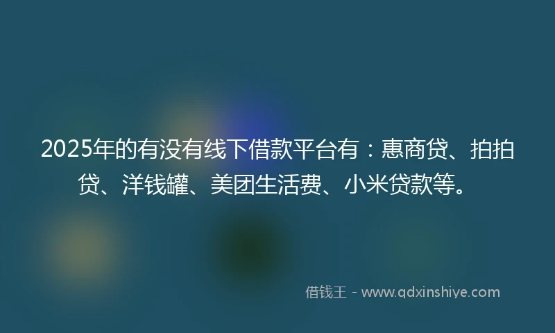 2025年的有没有线下借款平台有：惠商贷、拍拍贷、洋钱罐、美团生活费、小米贷款等。