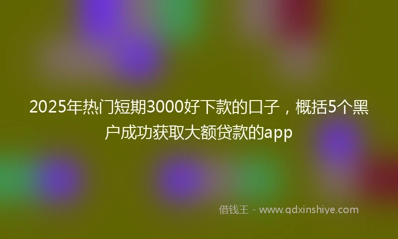 2025年热门短期3000好下款的口子，概括5个黑户成功获取大额贷款的app