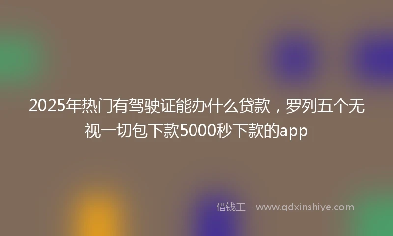 2025年热门有驾驶证能办什么贷款，罗列五个无视一切包下款5000秒下款的app