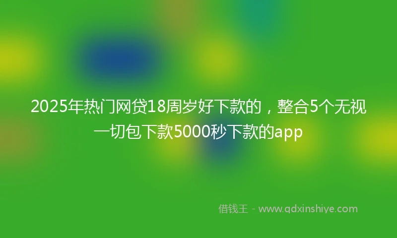 2025年热门网贷18周岁好下款的，整合5个无视一切包下款5000秒下款的app