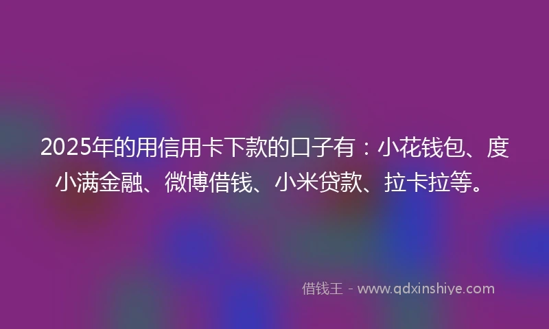 2025年的用信用卡下款的口子有：小花钱包、度小满金融、微博借钱、小米贷款、拉卡拉等。