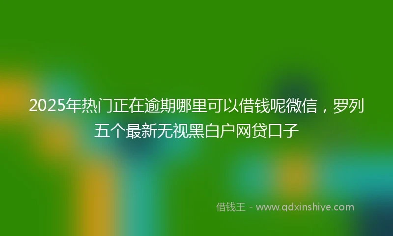 2025年热门正在逾期哪里可以借钱呢微信，罗列五个最新无视黑白户网贷口子