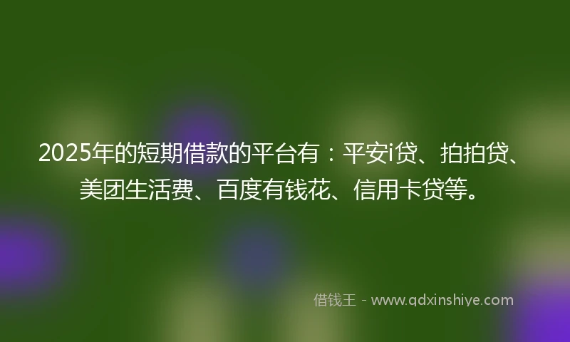 2025年的短期借款的平台有：平安i贷、拍拍贷、美团生活费、百度有钱花、信用卡贷等。