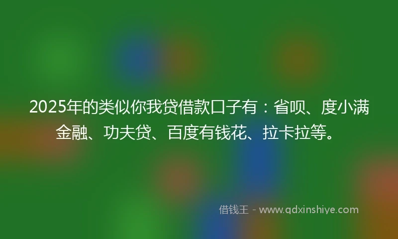2025年的类似你我贷借款口子有：省呗、度小满金融、功夫贷、百度有钱花、拉卡拉等。