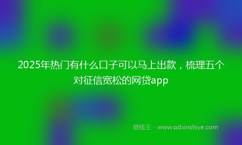 2025年热门有什么口子可以马上出款，梳理五个对征信宽松的网贷app