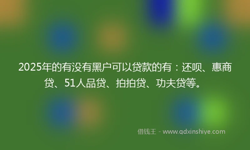 2025年的有没有黑户可以贷款的有：还呗、惠商贷、51人品贷、拍拍贷、功夫贷等。