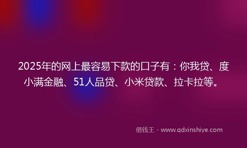 2025年的网上最容易下款的口子有：你我贷、度小满金融、51人品贷、小米贷款、拉卡拉等。