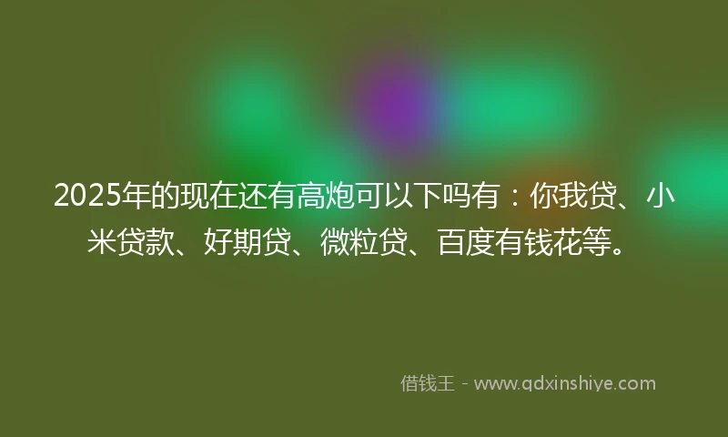 2025年的现在还有高炮可以下吗有：你我贷、小米贷款、好期贷、微粒贷、百度有钱花等。