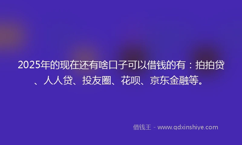 2025年的现在还有啥口子可以借钱的有：拍拍贷、人人贷、投友圈、花呗、京东金融等。