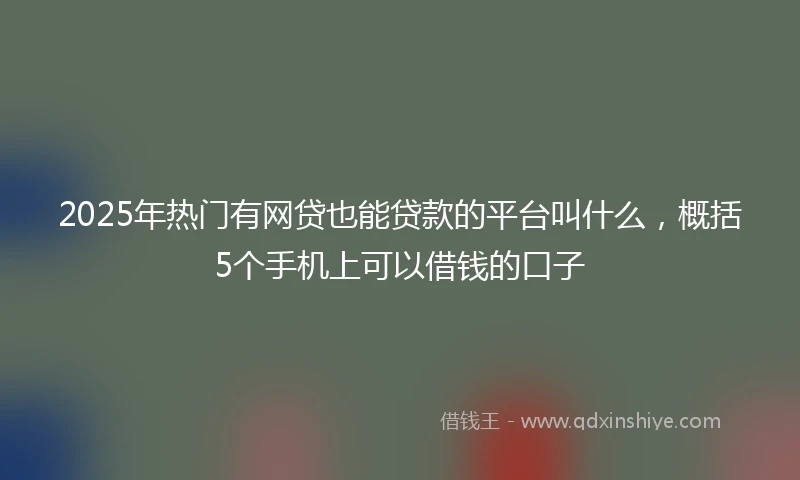 2025年热门有网贷也能贷款的平台叫什么，概括5个手机上可以借钱的口子