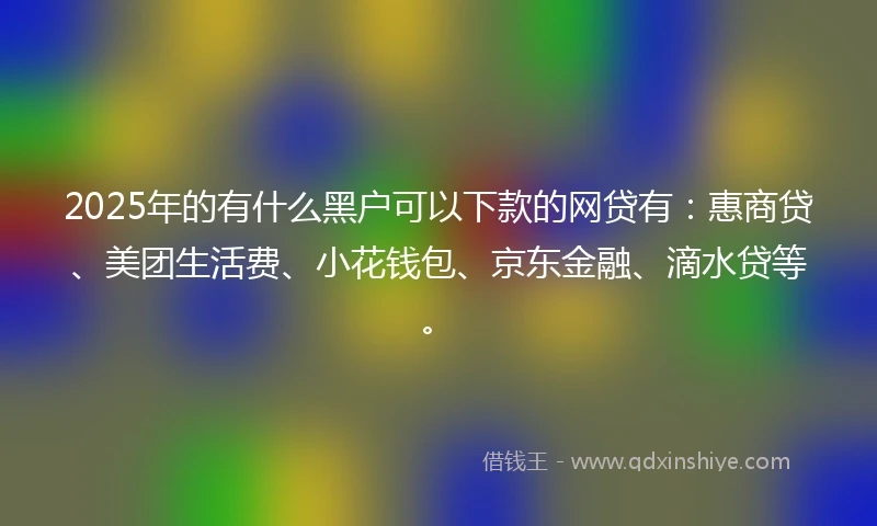 2025年的有什么黑户可以下款的网贷有：惠商贷、美团生活费、小花钱包、京东金融、滴水贷等。