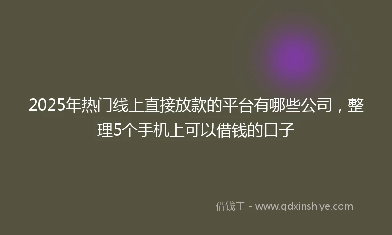 2025年热门线上直接放款的平台有哪些公司，整理5个手机上可以借钱的口子