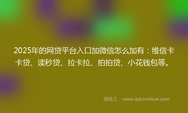 2025年的网贷平台入口加微信怎么加有：维信卡卡贷、读秒贷、拉卡拉、拍拍贷、小花钱包等。