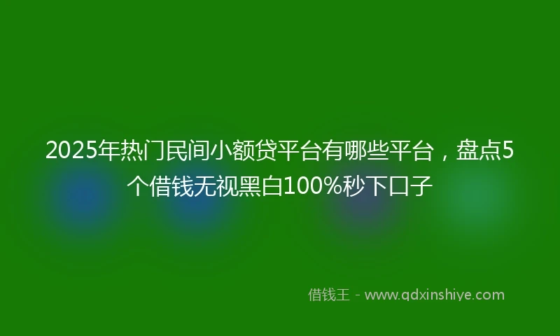 2025年热门民间小额贷平台有哪些平台，盘点5个借钱无视黑白100%秒下口子