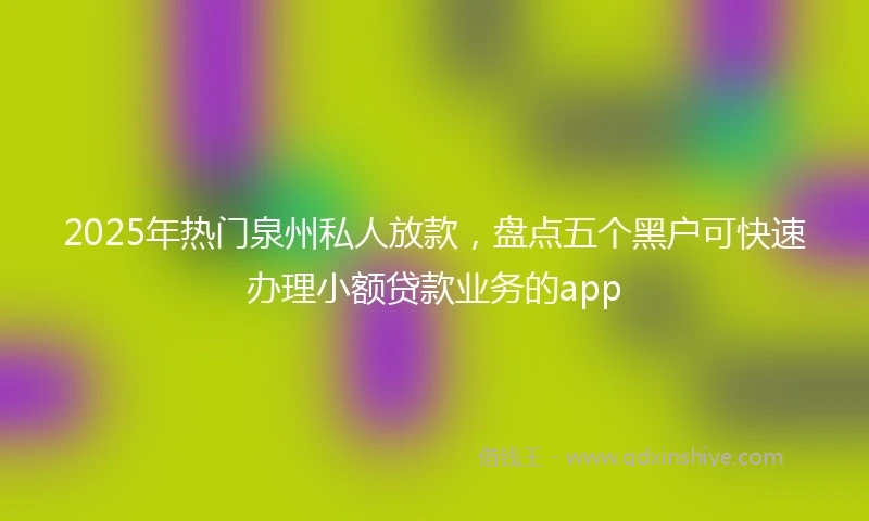 2025年热门泉州私人放款，盘点五个黑户可快速办理小额贷款业务的app