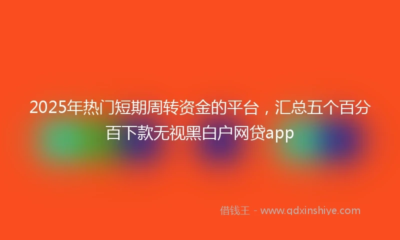 2025年热门短期周转资金的平台，汇总五个百分百下款无视黑白户网贷app