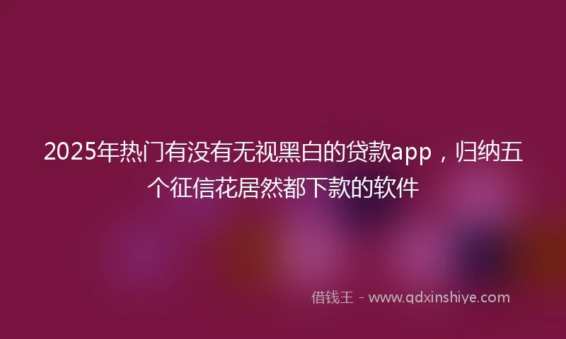 2025年热门有没有无视黑白的贷款app，归纳五个征信花居然都下款的软件