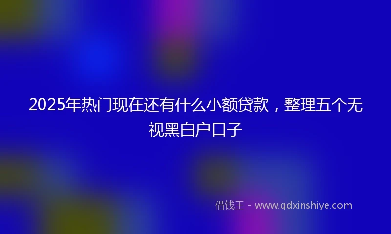 2025年热门现在还有什么小额贷款，整理五个无视黑白户口子