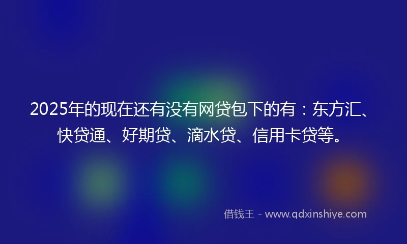 2025年的现在还有没有网贷包下的有：东方汇、快贷通、好期贷、滴水贷、信用卡贷等。
