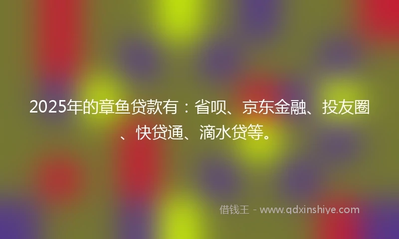 2025年的章鱼贷款有：省呗、京东金融、投友圈、快贷通、滴水贷等。