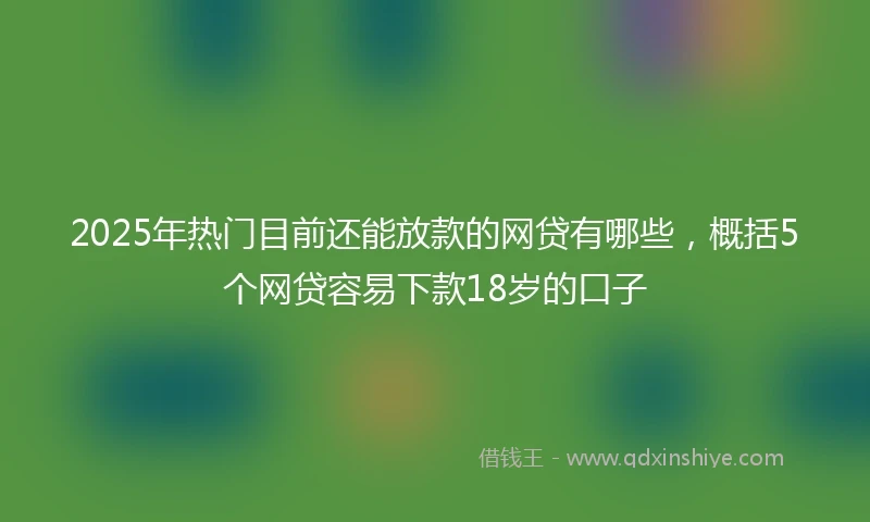 2025年热门目前还能放款的网贷有哪些，概括5个网贷容易下款18岁的口子