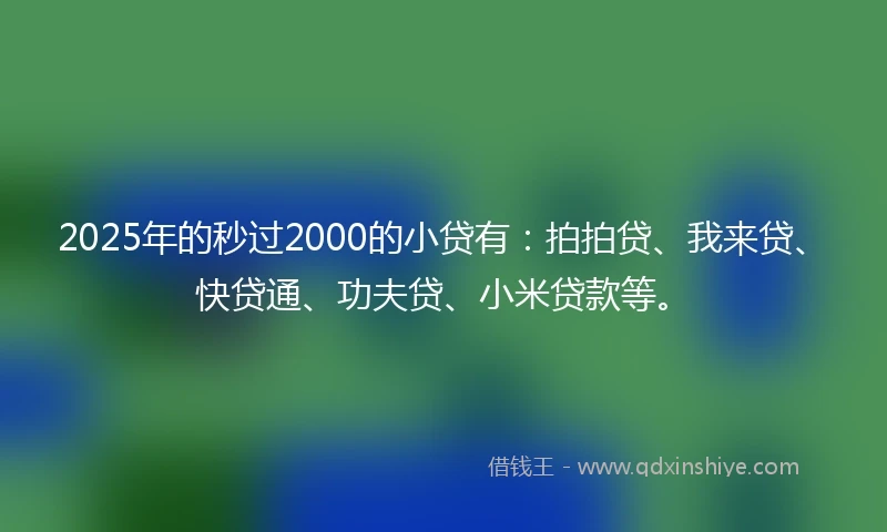 2025年的秒过2000的小贷有：拍拍贷、我来贷、快贷通、功夫贷、小米贷款等。