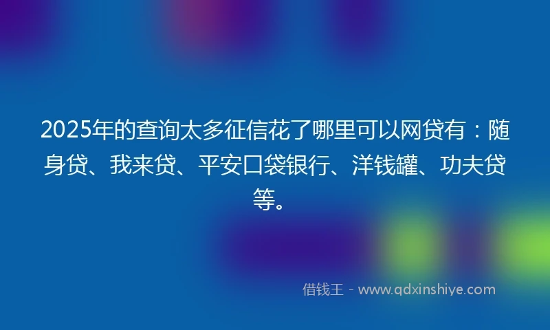 2025年的查询太多征信花了哪里可以网贷有：随身贷、我来贷、平安口袋银行、洋钱罐、功夫贷等。