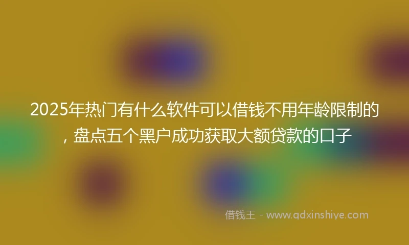 2025年热门有什么软件可以借钱不用年龄限制的，盘点五个黑户成功获取大额贷款的口子