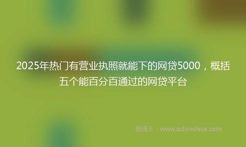 2025年热门有营业执照就能下的网贷5000，概括五个能百分百通过的网贷平台