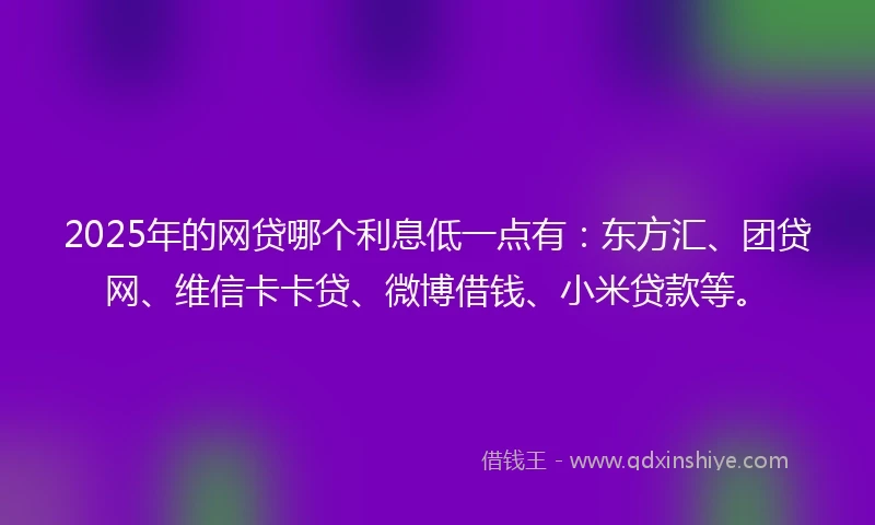 2025年的网贷哪个利息低一点有：东方汇、团贷网、维信卡卡贷、微博借钱、小米贷款等。