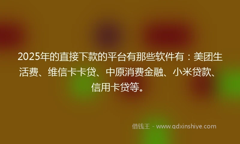 2025年的直接下款的平台有那些软件有：美团生活费、维信卡卡贷、中原消费金融、小米贷款、信用卡贷等。