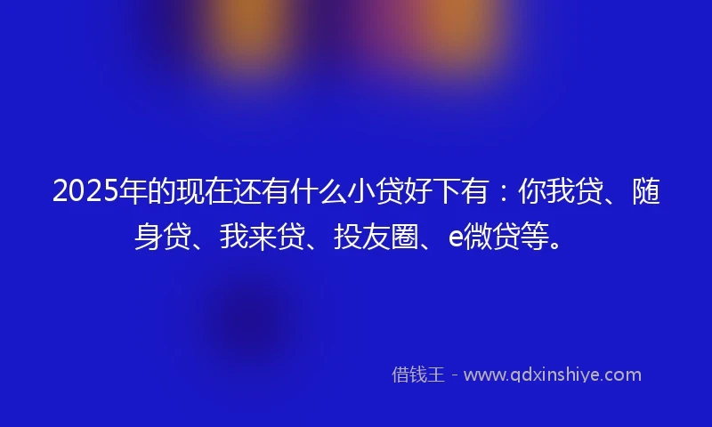 2025年的现在还有什么小贷好下有：你我贷、随身贷、我来贷、投友圈、e微贷等。