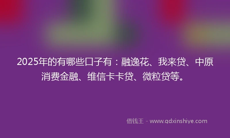 2025年的有哪些口子有：融逸花、我来贷、中原消费金融、维信卡卡贷、微粒贷等。