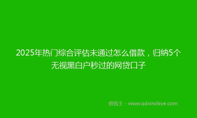 2025年热门综合评估未通过怎么借款，归纳5个无视黑白户秒过的网贷口子