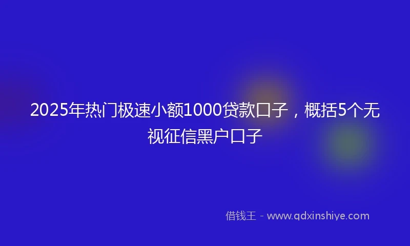 2025年热门极速小额1000贷款口子，概括5个无视征信黑户口子