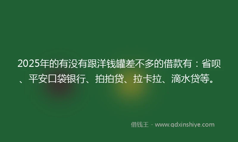 2025年的有没有跟洋钱罐差不多的借款有：省呗、平安口袋银行、拍拍贷、拉卡拉、滴水贷等。