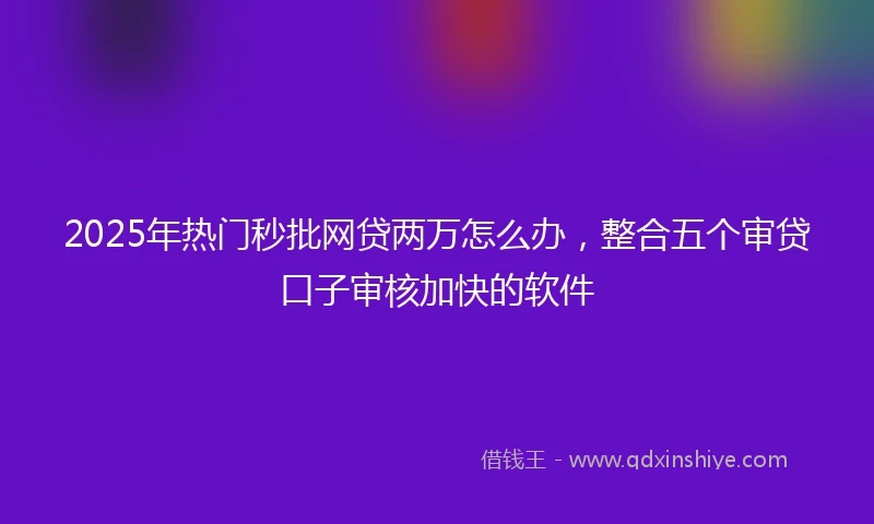 2025年热门秒批网贷两万怎么办，整合五个审贷口子审核加快的软件