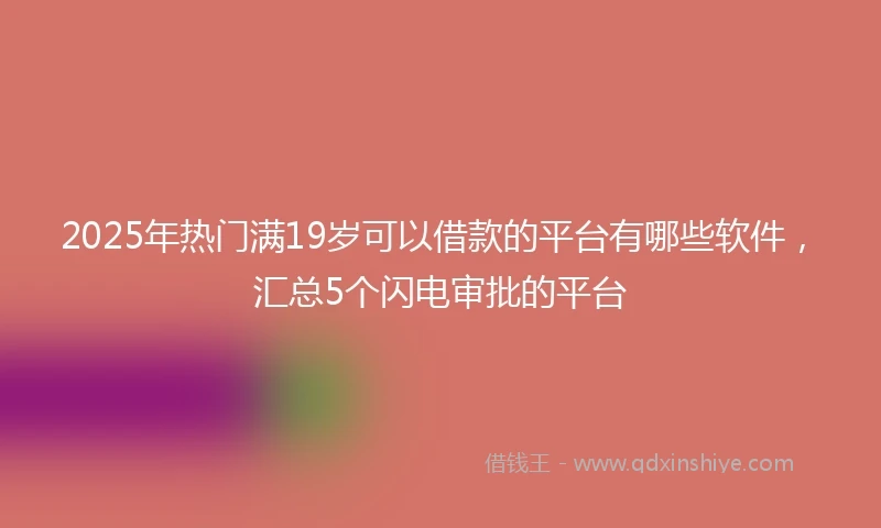 2025年热门满19岁可以借款的平台有哪些软件，汇总5个闪电审批的平台