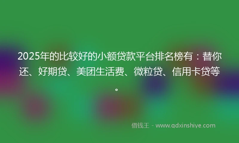 2025年的比较好的小额贷款平台排名榜有：替你还、好期贷、美团生活费、微粒贷、信用卡贷等。