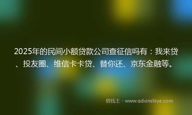 2025年的民间小额贷款公司查征信吗有：我来贷、投友圈、维信卡卡贷、替你还、京东金融等。