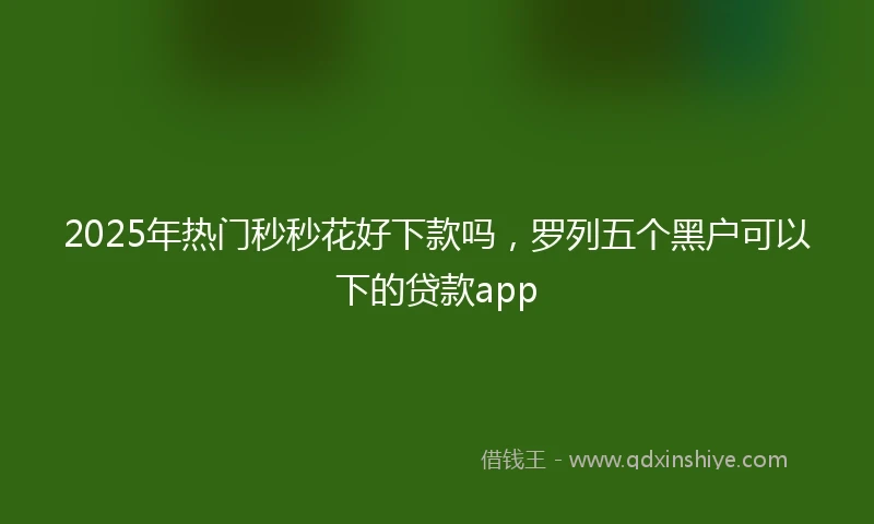 2025年热门秒秒花好下款吗，罗列五个黑户可以下的贷款app