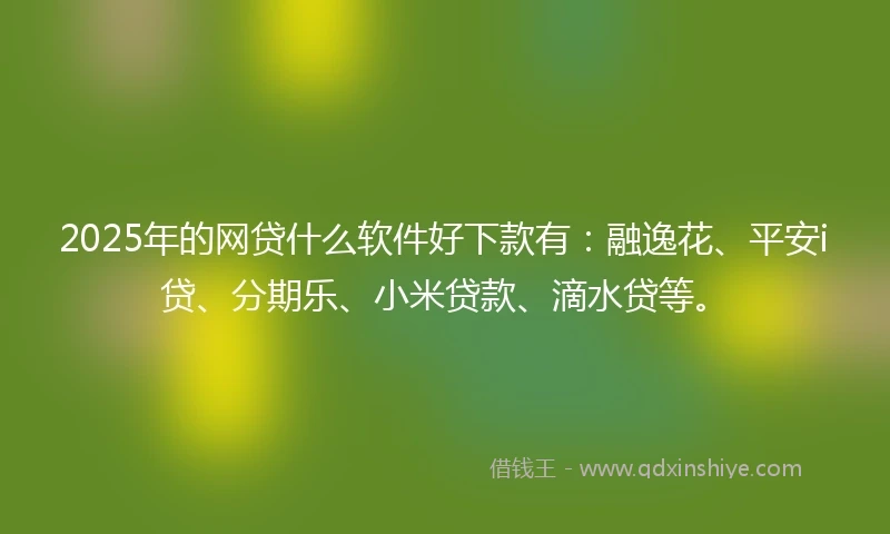2025年的网贷什么软件好下款有：融逸花、平安i贷、分期乐、小米贷款、滴水贷等。