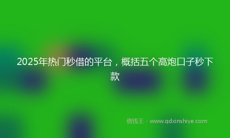 2025年热门秒借的平台，概括五个高炮口子秒下款